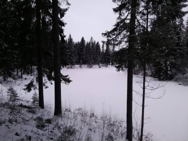 Kuralanoja - Image 2