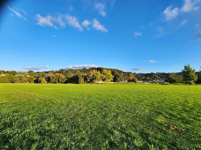 Maoribank Park - Image 1