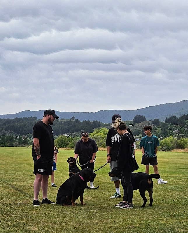 Maoribank Park - Image 2