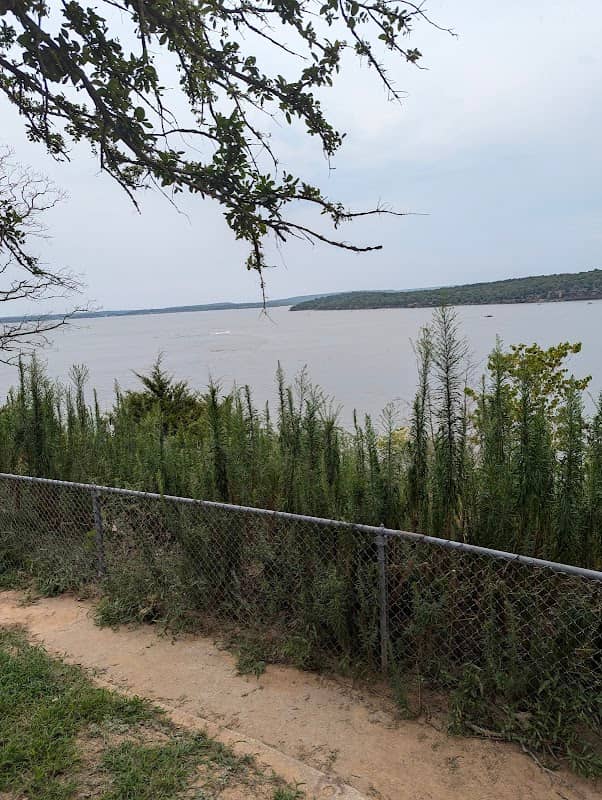 Lake eufaula ORV area - Image 1