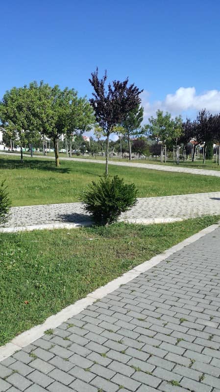 Parque São João da Talha - Image 1