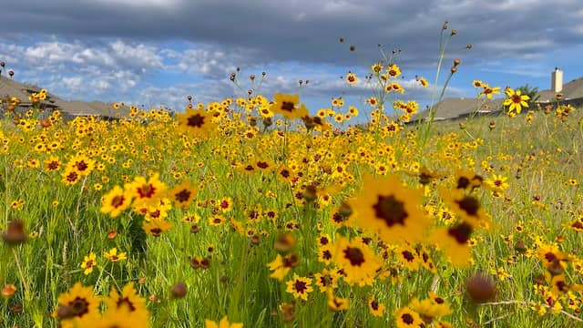 Mason Hills Park - Image 3