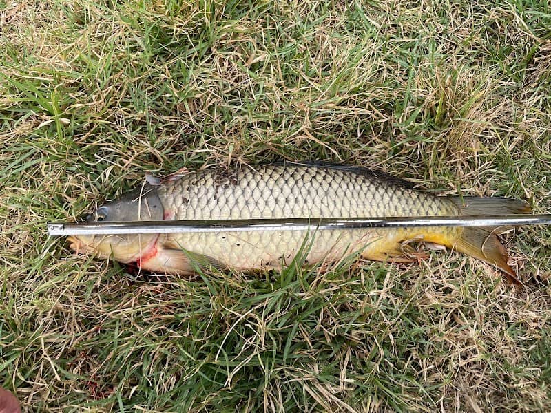 Carpington Peninsula - Image 2
