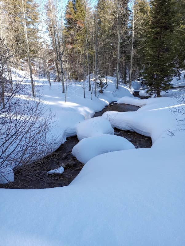Sawtooth National Forest - Image 2