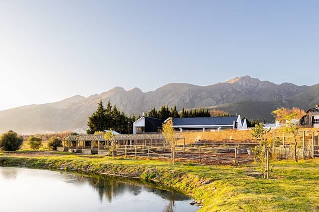 Backsberg Family Wines - Image 1