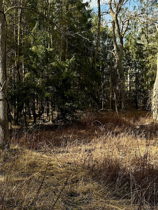 Little Italy Nature Preserve - Image 1