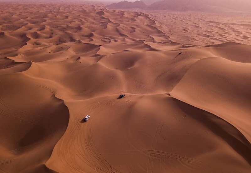 Desert Safari Vibes - Image 3