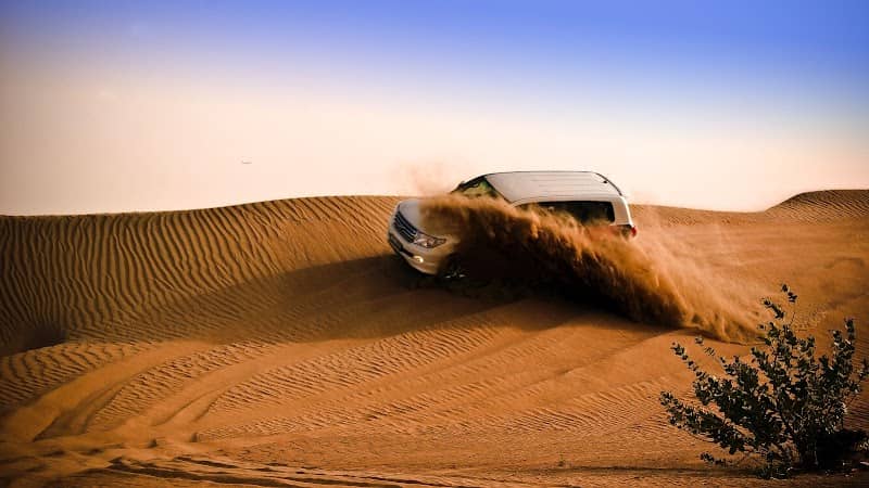 Desert Safari Vibes - Image 2