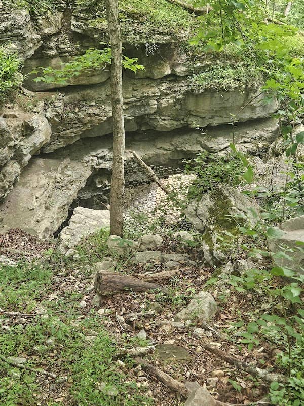 Natural Bridge - Image 2