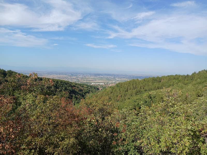 View - Image 2