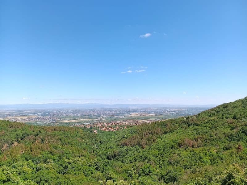 View - Image 1