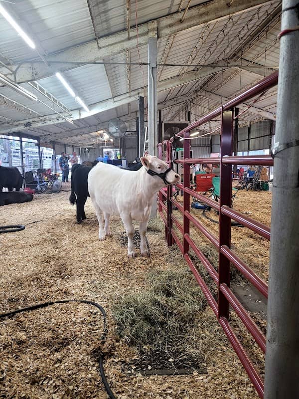 Anderson County Fair - Image 1