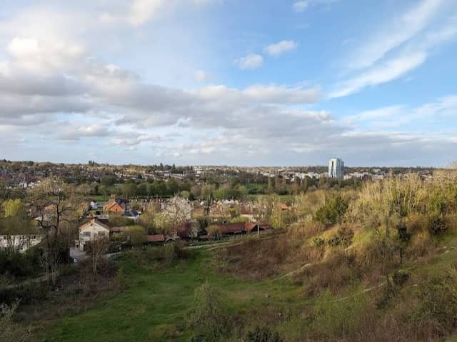 Roughdown Common Nature Reserve - Image 1