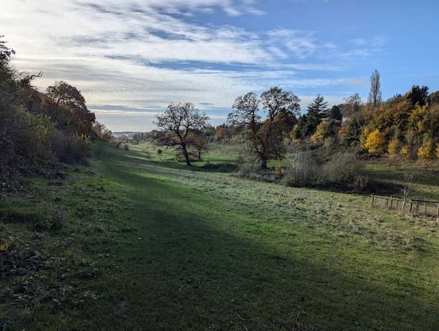 Long Deans - Image 2