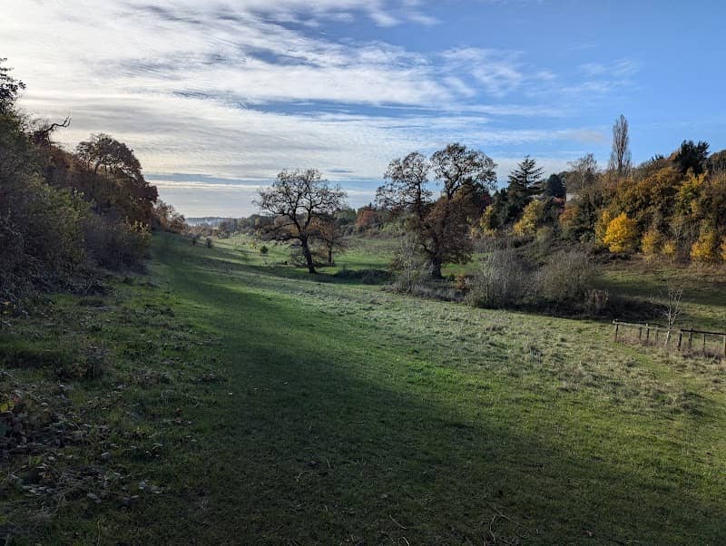 Long Deans - Image 2
