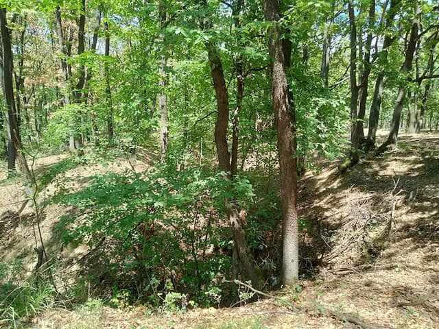 Punct de Belvedere - Image 1