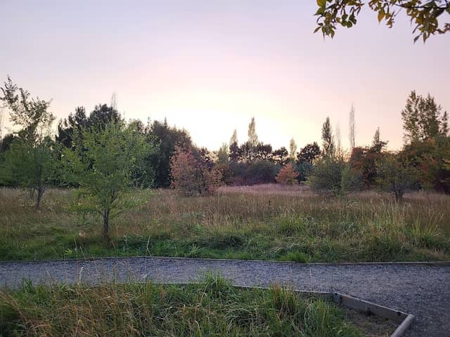 Paul Rogers Wildlife Park - Image 2