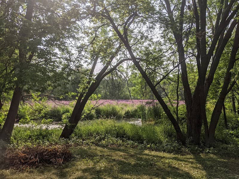 Sheridan Park - Image 1