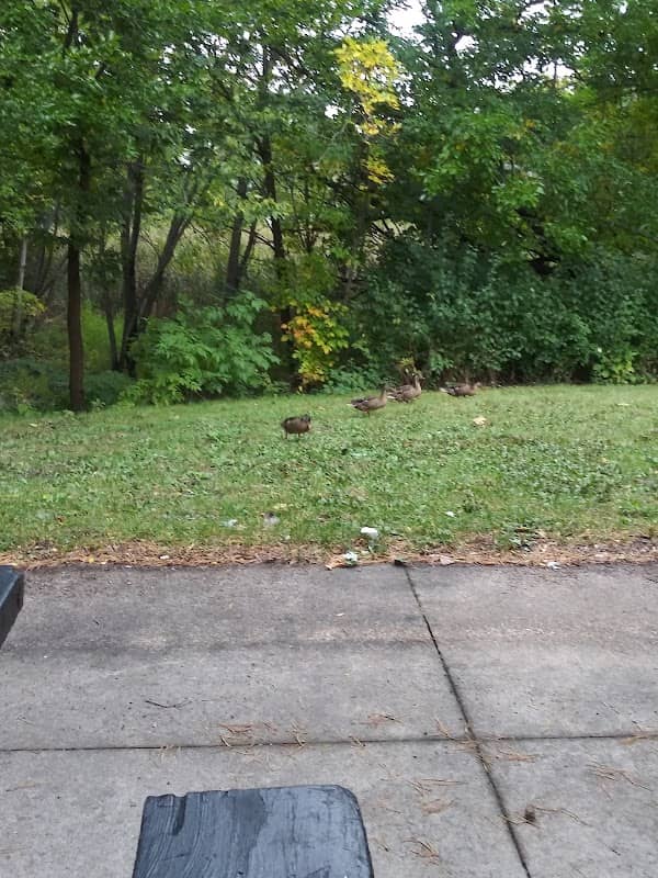 Sheridan Park - Image 2