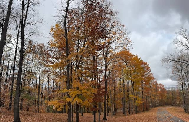 Boyne Mountain Scenic Drive - Image 1