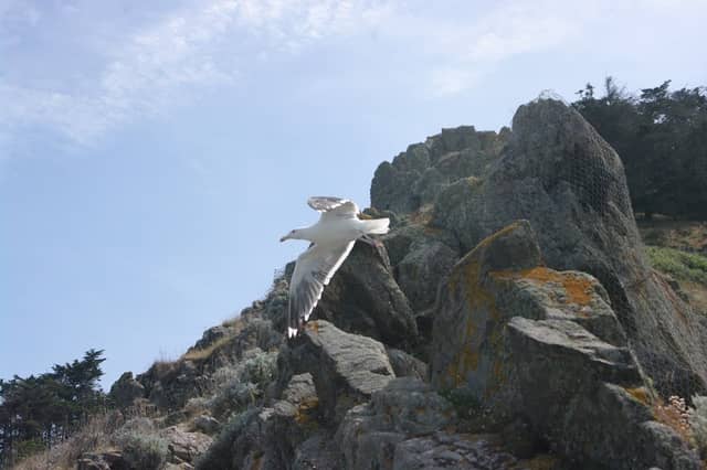 Promenade de la Lingouare - Image 3