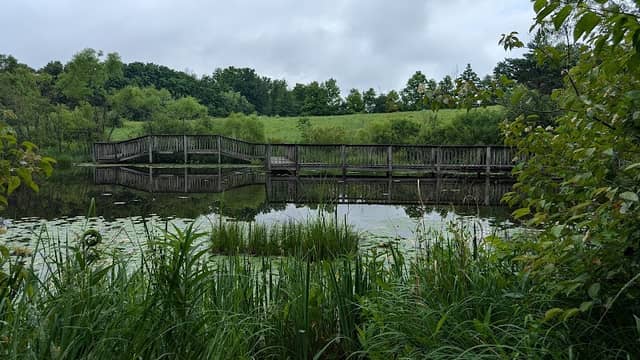 Gorman Nature Center - Image 2