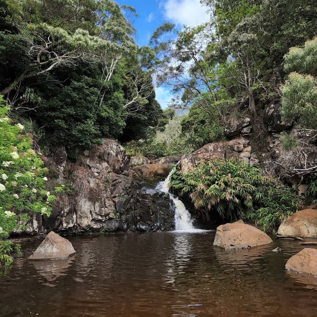 Waimea Canyon Trail - Image 1
