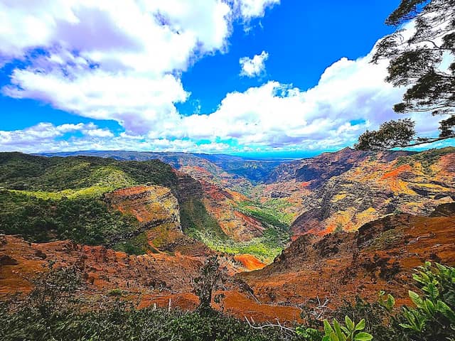 Waimea Canyon Trail - Image 3