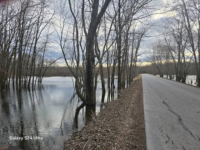 Otter Creek Swamps Natural Area - Image 1