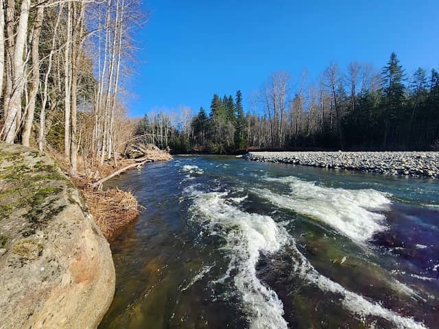 Englishman River Regional Park - Image 2