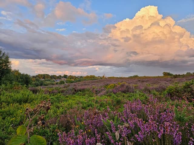 Bourne Valley Nature Reserve - Image 2