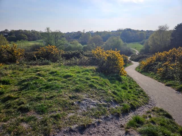 Bourne Valley Nature Reserve - Image 1