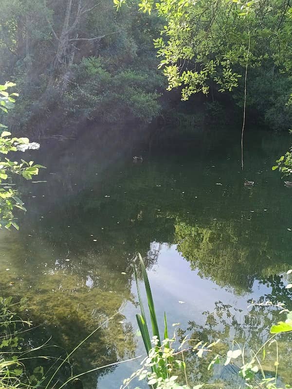 Toms Lake - Image 2