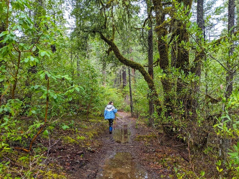 Limpy Botanical Interpretive Loop Trailhead - Image 1