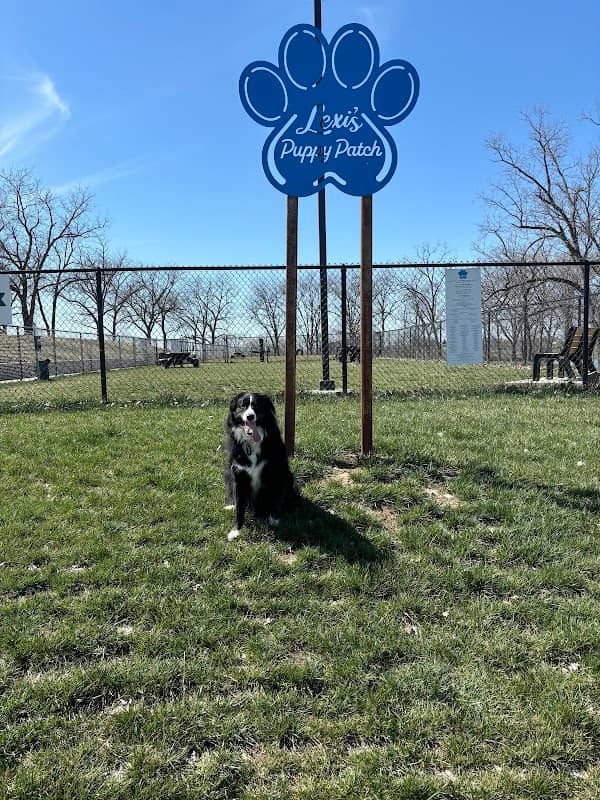 Lexi's Puppy Patch - Image 1