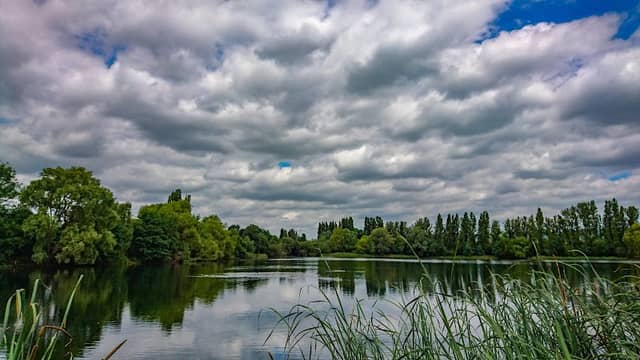 Leybourne Lakes Country Park - Image 2