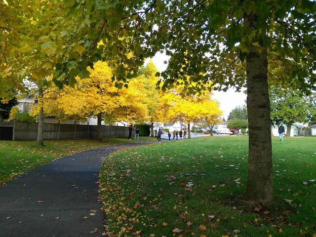 Daynes Park - Image 3