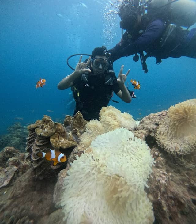 Dive Andaman - Image 1