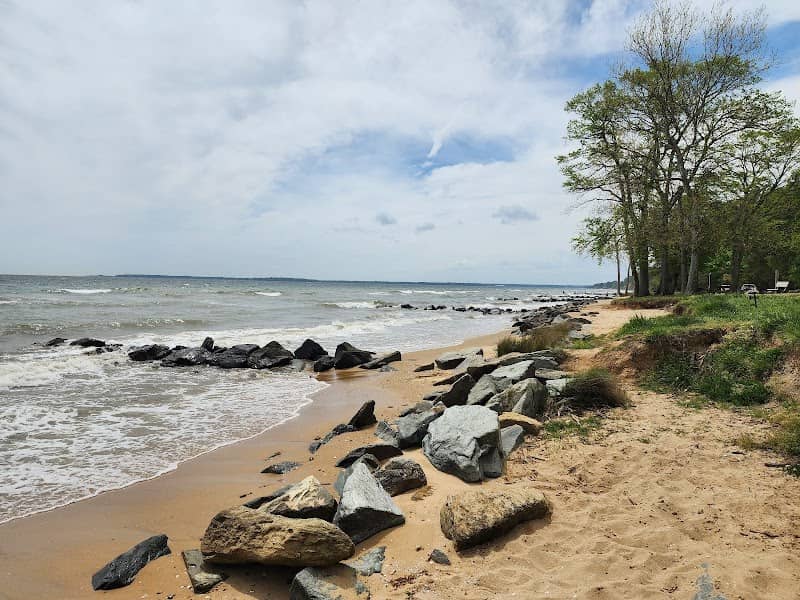 Driftwood Beach (CRE Residents Only) - Image 1