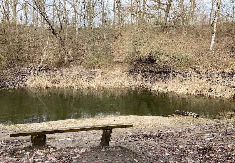 Tonteich in den Lausebergen - Image 1