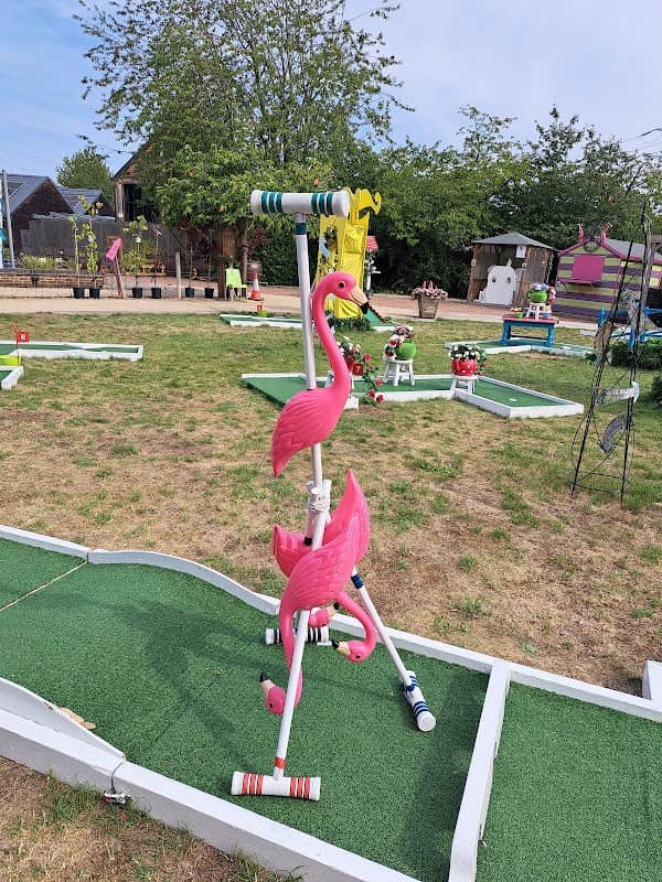 Millbrook Summer Crazy Golf - Image 1
