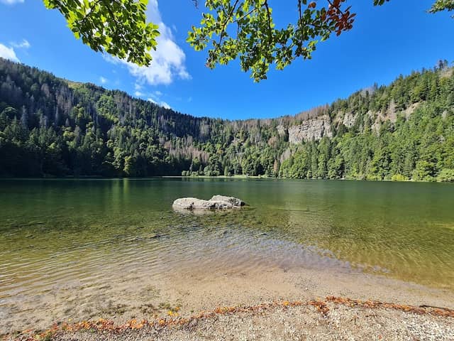 Feldsee - Image 1
