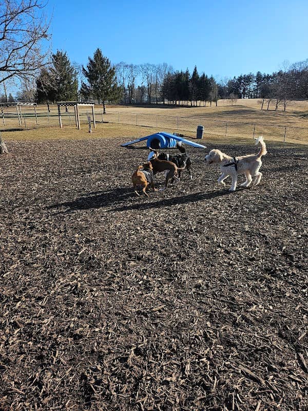 Doggie Dugout-Registration Required - Image 2