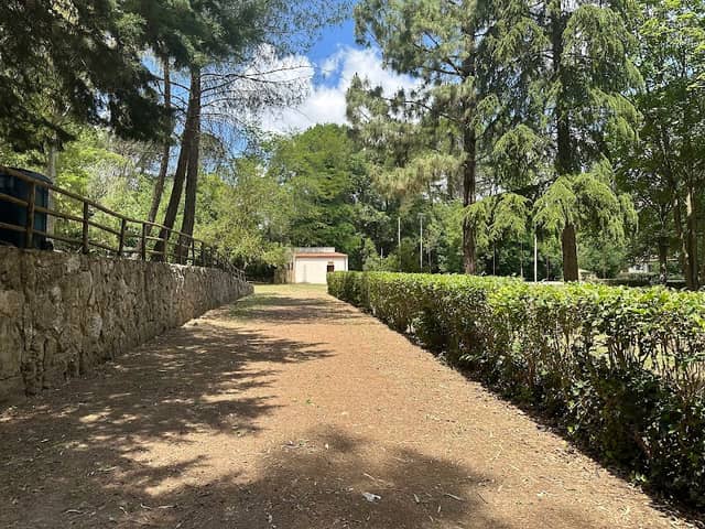 Parco del lago di Pergusa - Image 1