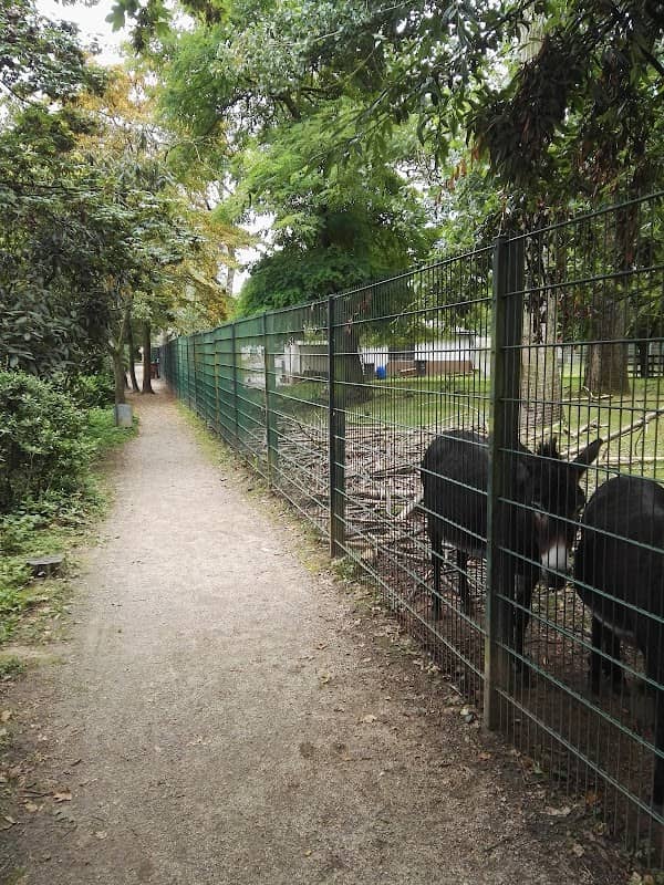 Tierpark Hattersheim e.V. - Image 2