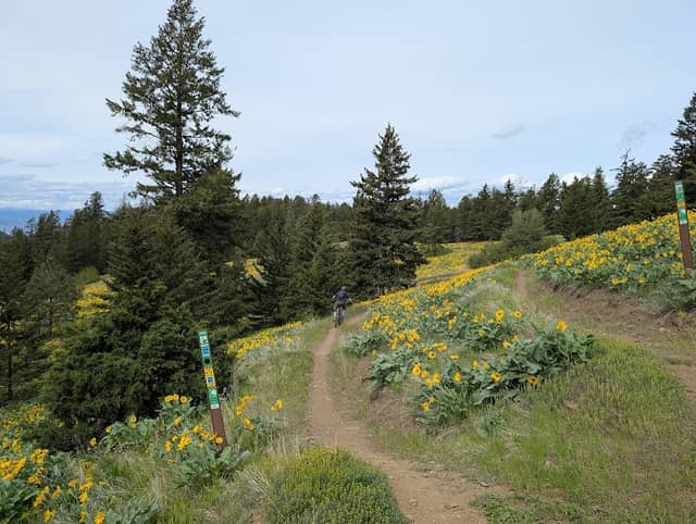 Harper Mtn Bike Area Recreation Site - Image 1