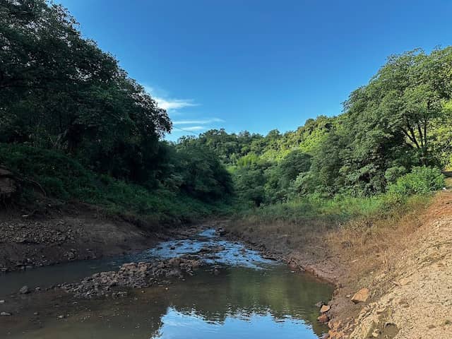 Passeio de Caiac - Foz do Rio Tamanduá - Image 2