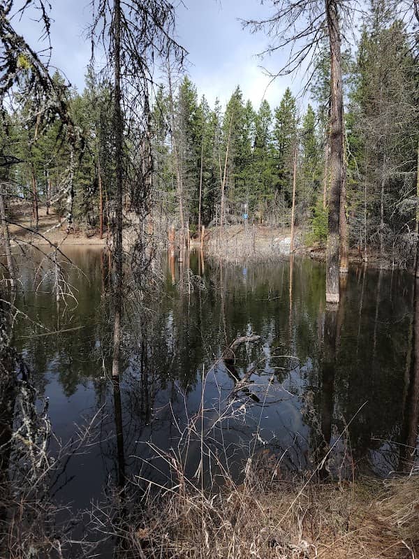 Jean Road Trails - Image 1