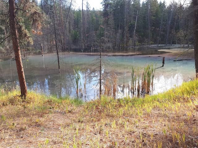Jean Road Trails - Image 2
