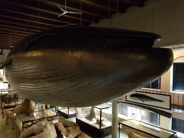 Sandefjord Museum - Image 3